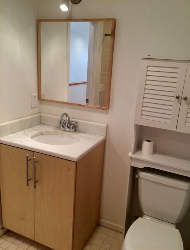 Second bathroom - 2466 Lake Dr SE