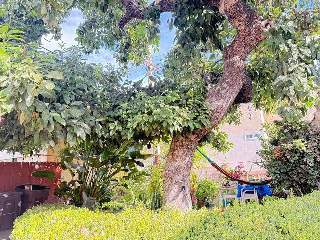 Building Photo - 1134 N Maryland Ave