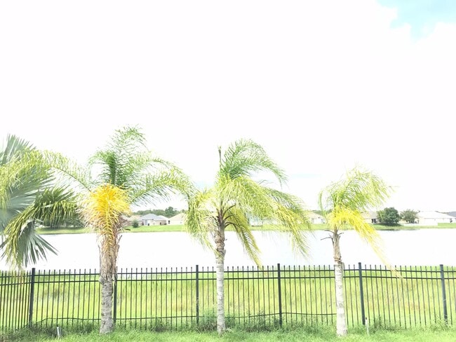 Building Photo - Beautiful Home with Lakefront View!