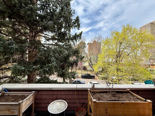 Building Photo - 1 bedroom apartment with private balcony!