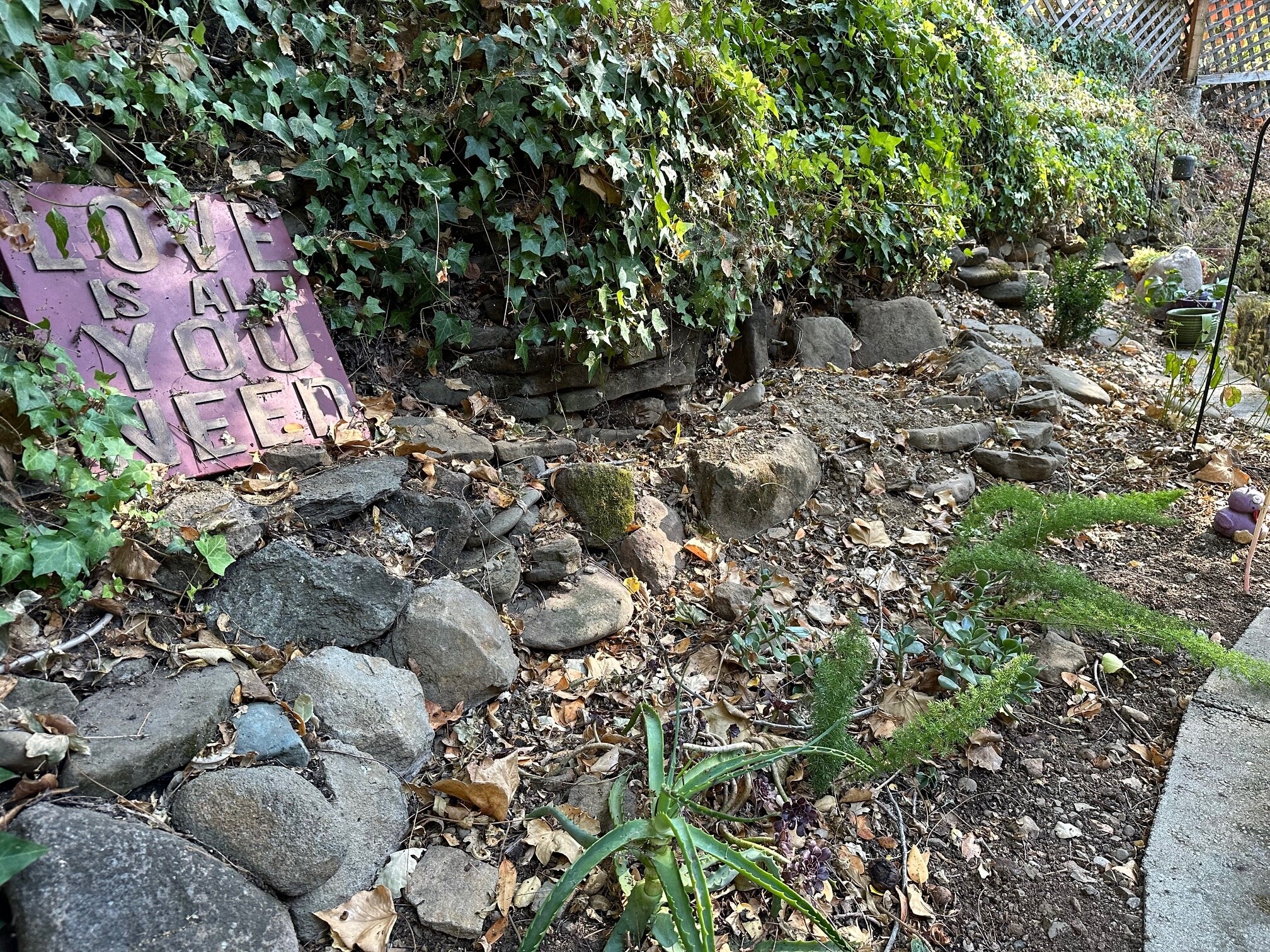 View of side yard - 12061 Pleasant Way