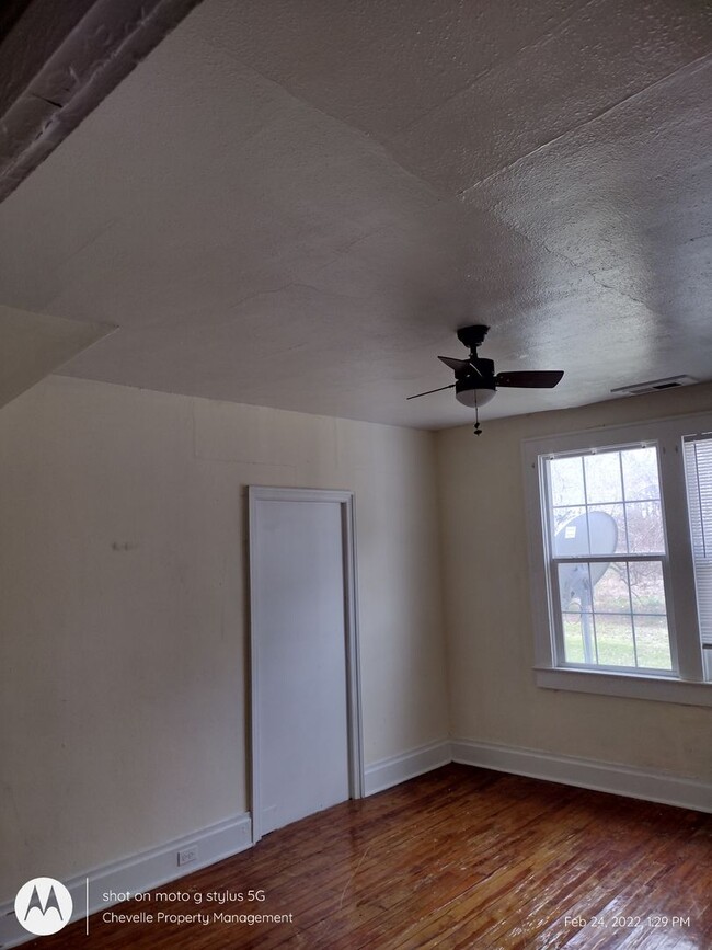 Building Photo - Luce Pine