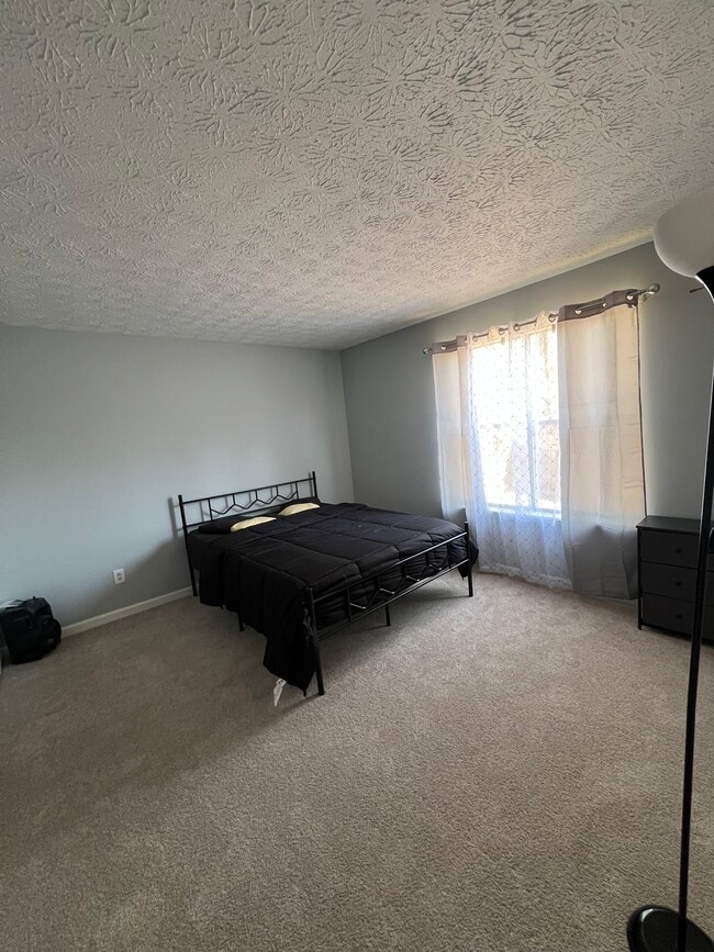 Building Photo - 3735 Baldur Ct