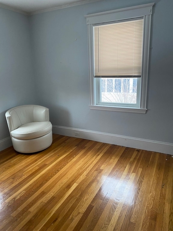 Building Photo - 93 Jewett St