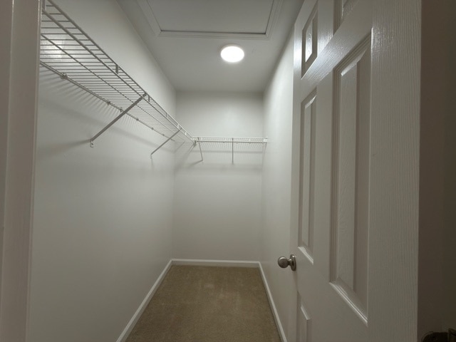 Building Photo - 204 Harbor Haven Dr