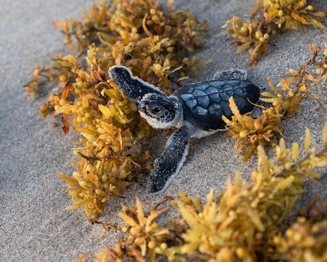 Building Photo - 501 Mainsail Cir