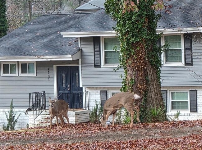 Building Photo - 2968 McGlynn Ct