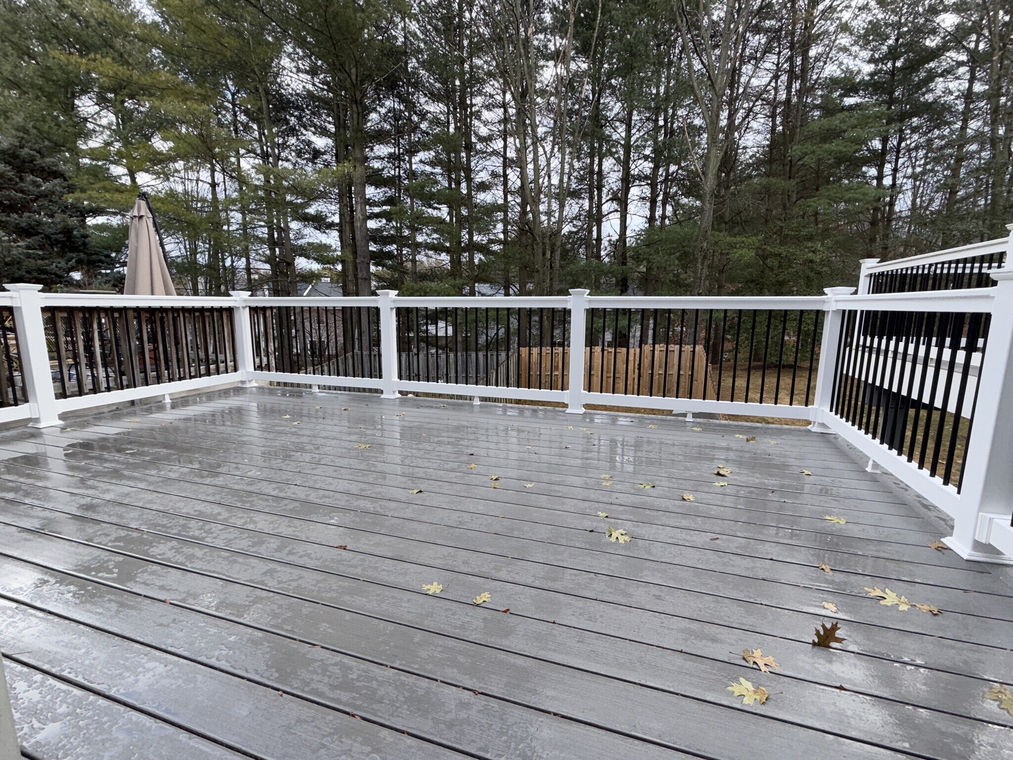 Building Photo - 1195 Palmwood Ct