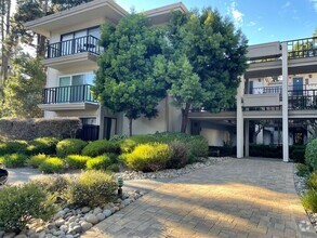 Building Photo - Forest Views With Peeks Of The Ocean From ...