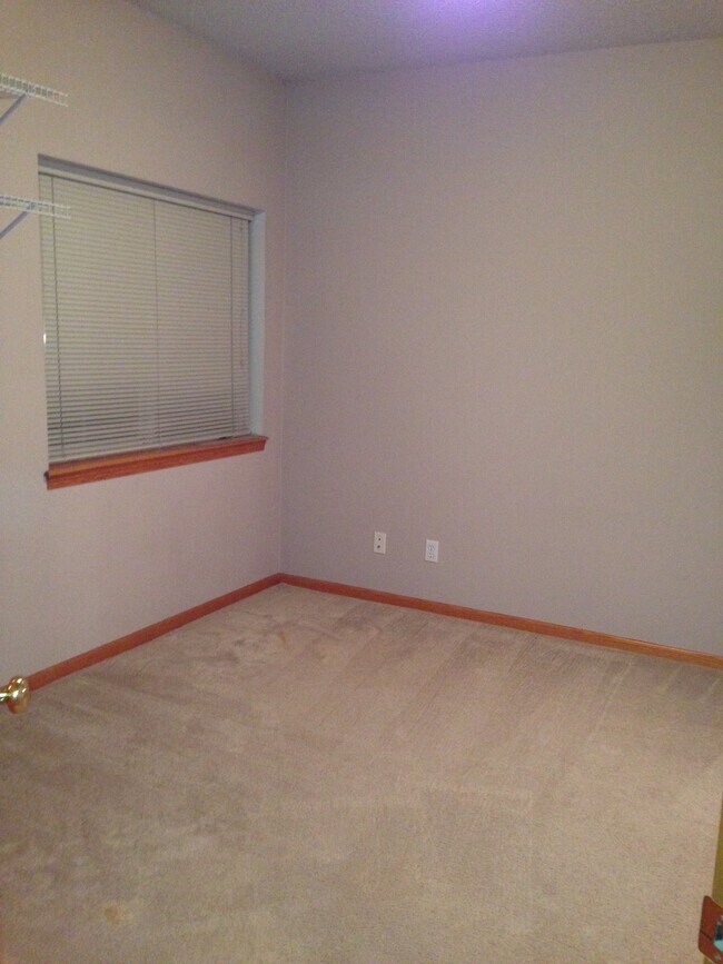 Building Photo - 545 Penn Ct