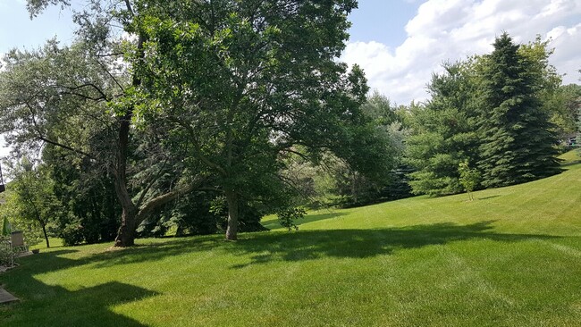 Patio view - 1028 S Sunnyvale Ln