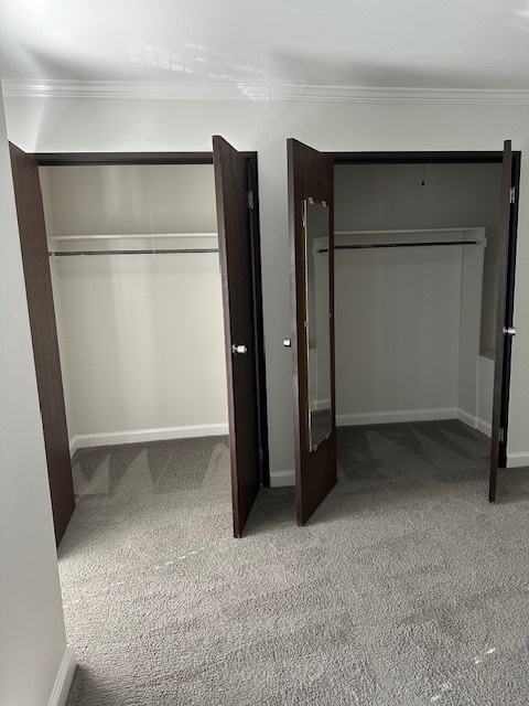 Master Bedroom Closets - 3480 Ostrander Rd