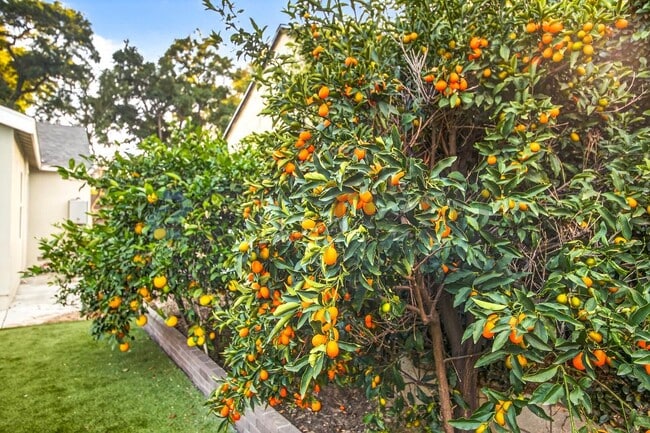 Building Photo - 363 E 63rd St