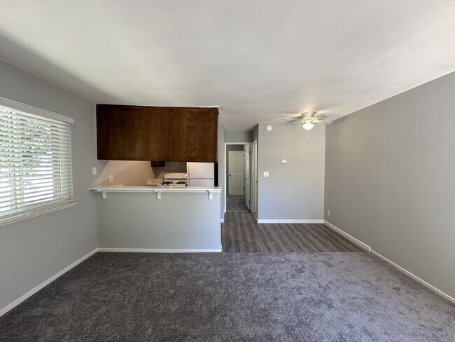 Interior Photo - 330 W Acacia Street