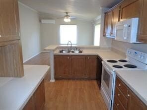 Building Photo - 10207 Elderberry Park Ln