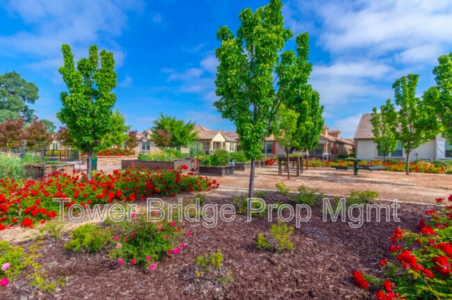 Building Photo - 1457 Marseille Ln