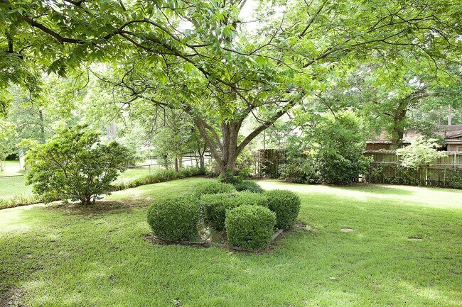 Building Photo - For Rent – Spacious Home Next to Spring Lake Park!