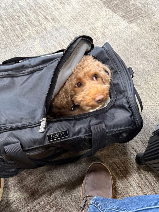 Building Photo - Nice two bedroom condo on one level in Hermitage