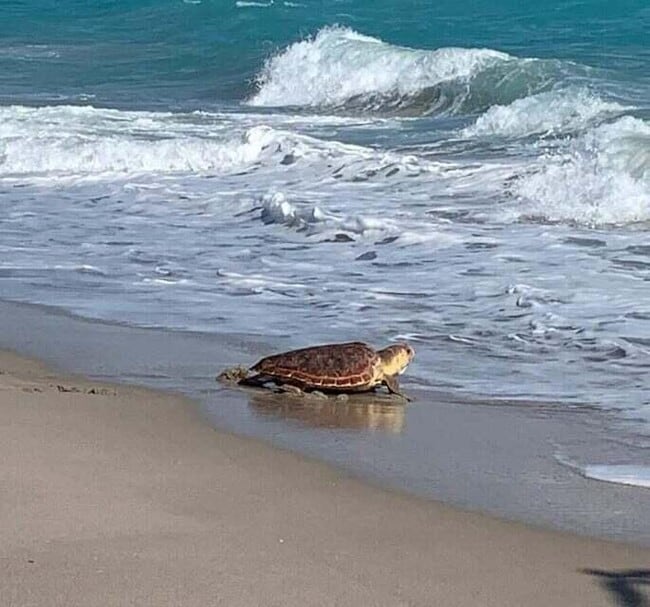 Building Photo - 1609 Mizzenmast Way