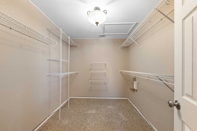 Building Photo - 219 Coriander Bend