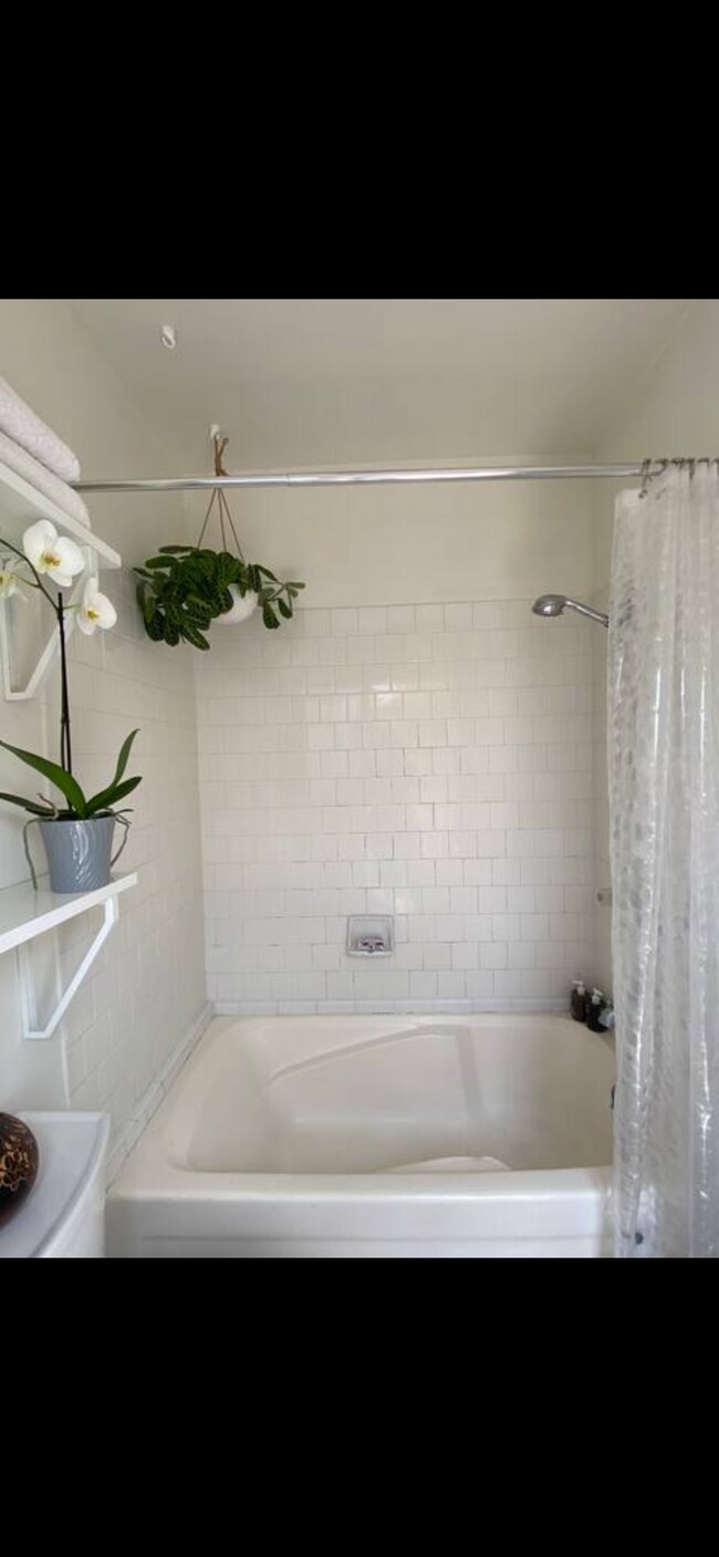 Building Photo - 4525 Avocado St