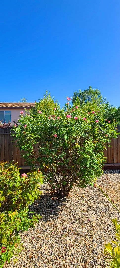 Building Photo - BEAUTIFULLY MAINTAINED SINGLE FAMILY HOME ...