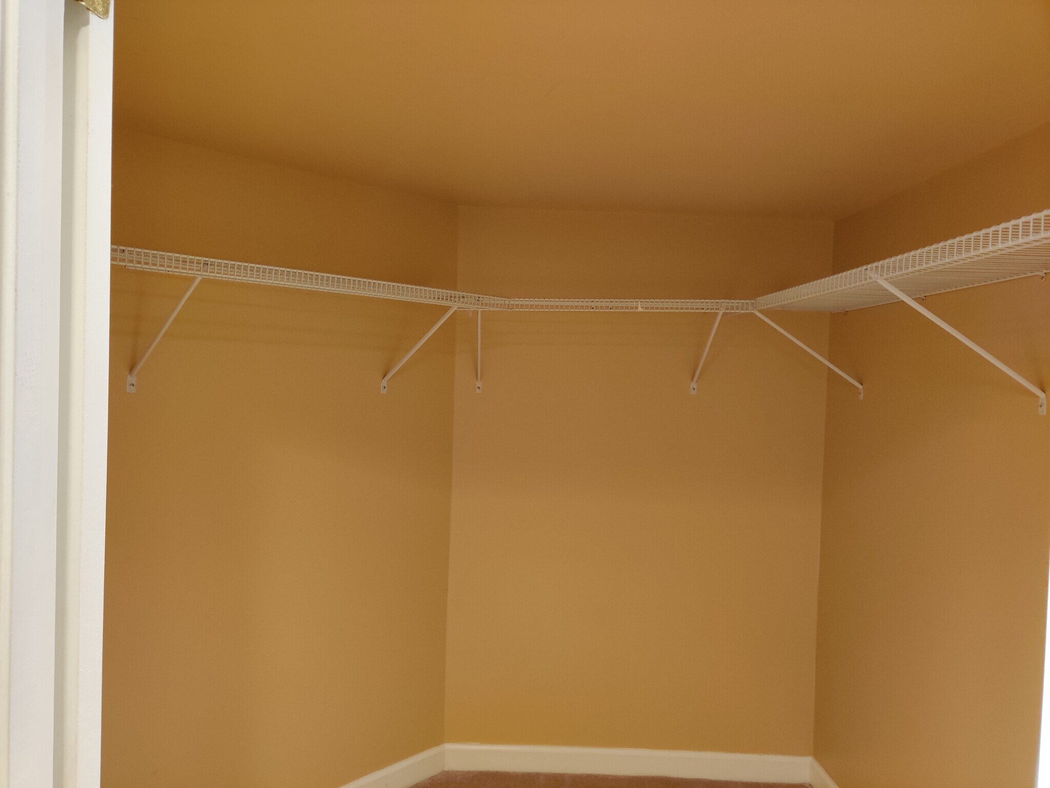 Walk in closet - 8400 Hessian Hill Ct