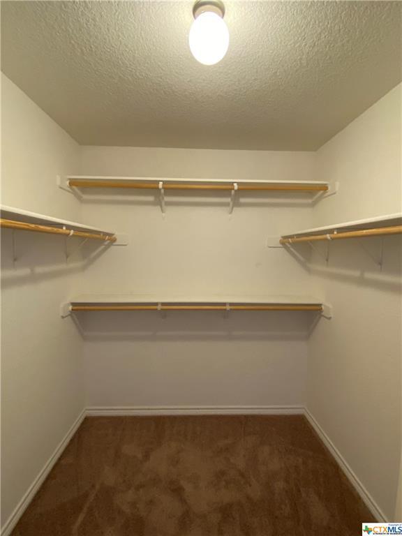 Building Photo - 6203 Brushy Creek Dr