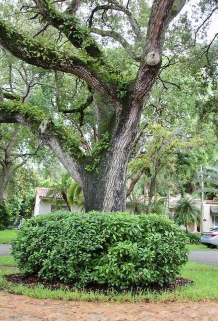 Building Photo - 721 Tibidabo Ave