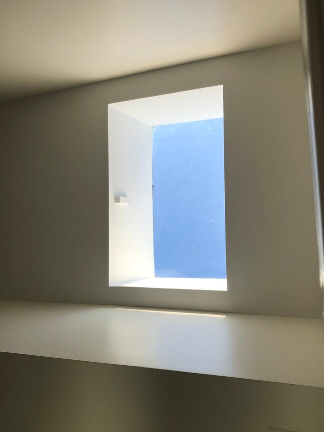 Large master bathroom sky light - 1204 Florida Ave NE