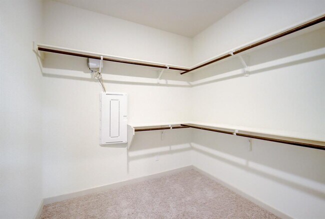 Building Photo - 131 Big Sandy Creek Dr