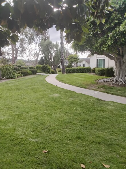 Primary Photo - 3508 Driftwood Pl