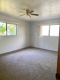 Building Photo - 3311 Mapu Dr