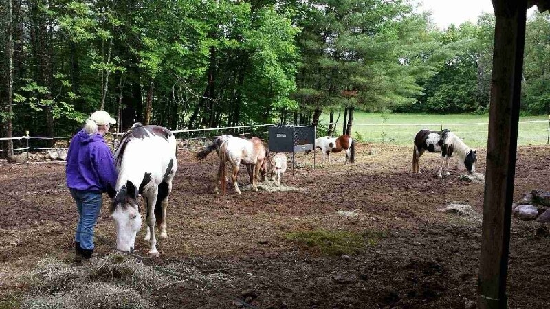 Building Photo - 133 Notch Rd