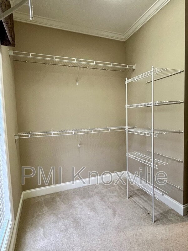 Building Photo - 4601 Ivy Rose Dr