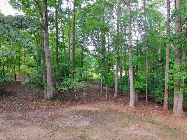Building Photo - 4225 Robinson Rd