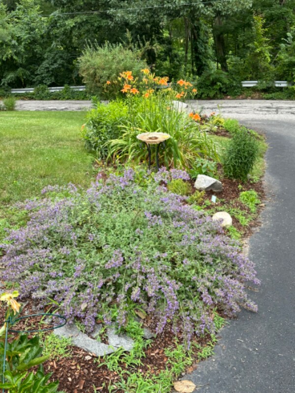 Building Photo - 2 Burdon St