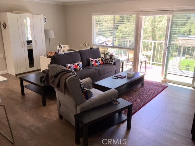 Building Photo - 897 Ronda Sevilla