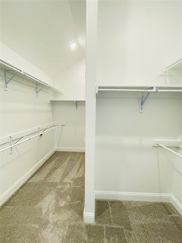 Building Photo - 4009 Whitetail Ln