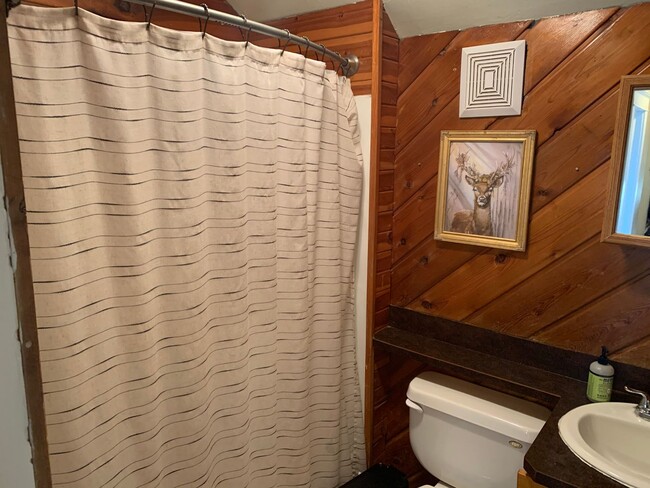 Building Photo - Duluth, MN - 3-bedroom - 2 bathroom - Sing...