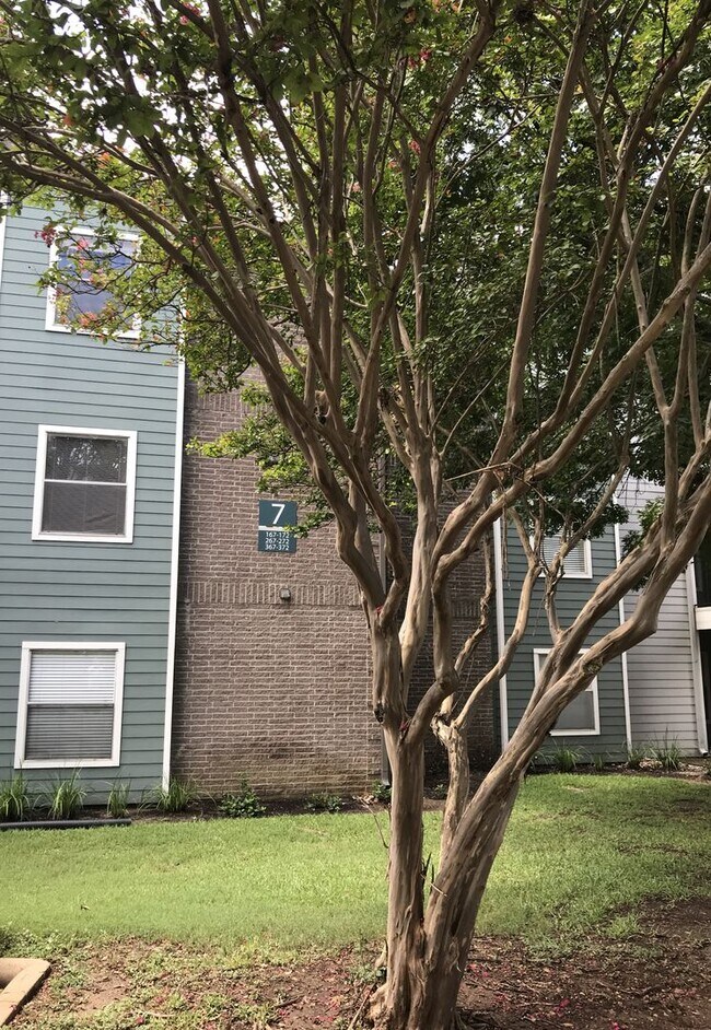 Building Photo - Great Location 2/2 BACKS TO NORTHEN WALNUT CREEK TRAIL