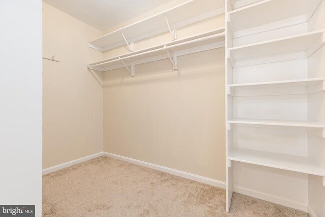 Building Photo - 4302 Cider Barrel Ct