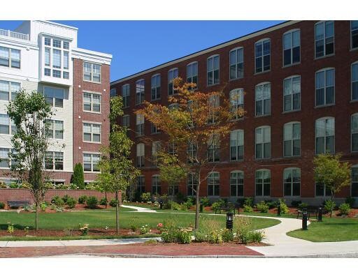 Courtyard view - 7 Ballister Street