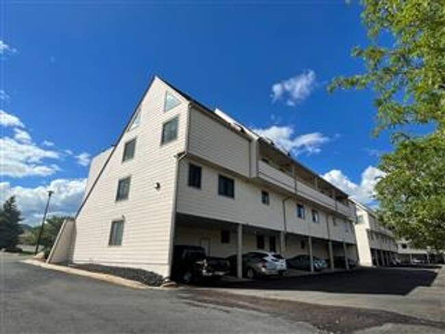 Building Photo - Soda Lakes Condo