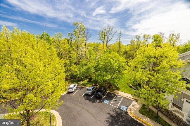 Building Photo - 20816 Noble Terrace