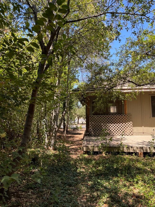 Building Photo - Cozy and convenient, private location, Cot...