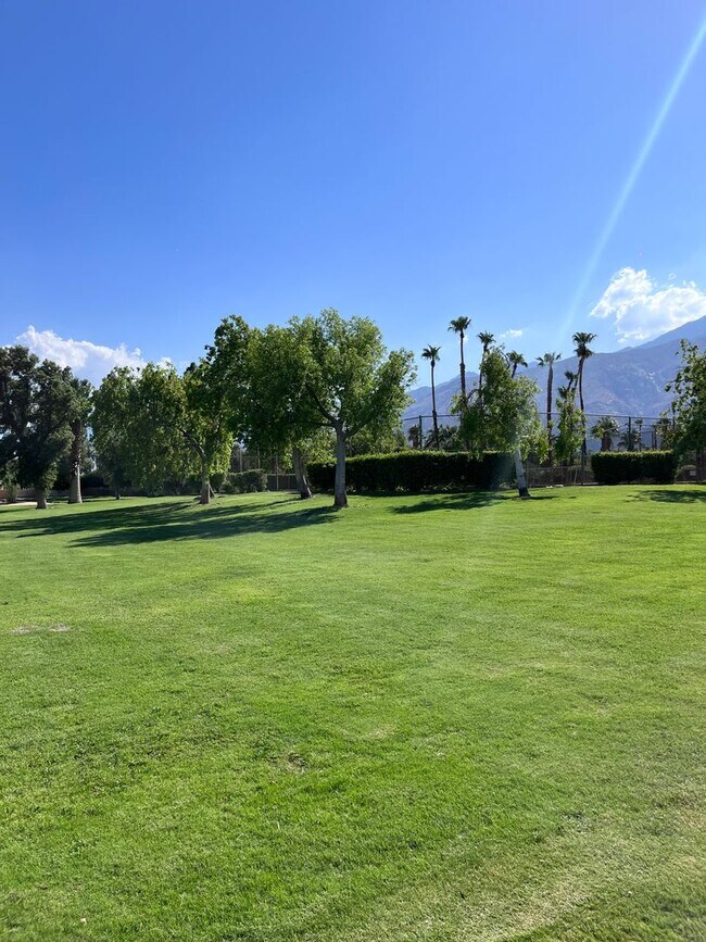 Building Photo - North Palm Springs Beauty