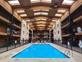 Pool - Tropicana Apartments