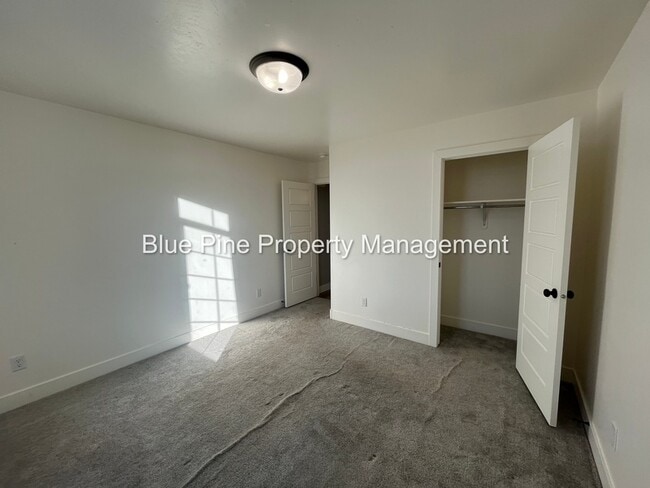 Building Photo - 3534 Apolena Ave