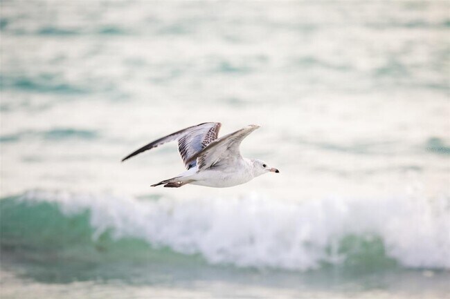 Building Photo - 6328 Winding Pne Dr